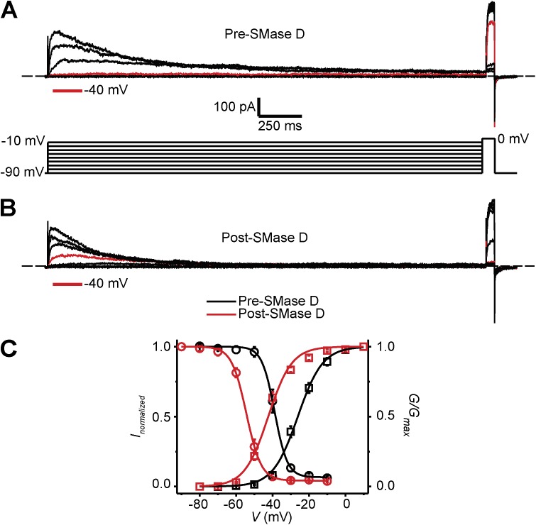 Figure 5.