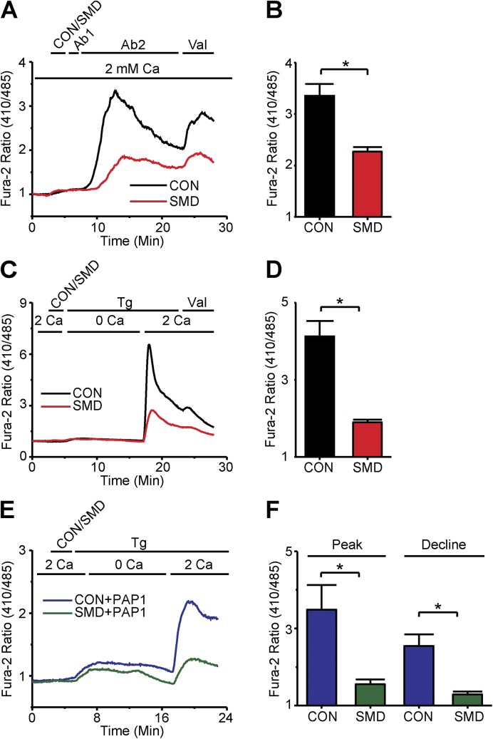 Figure 6.