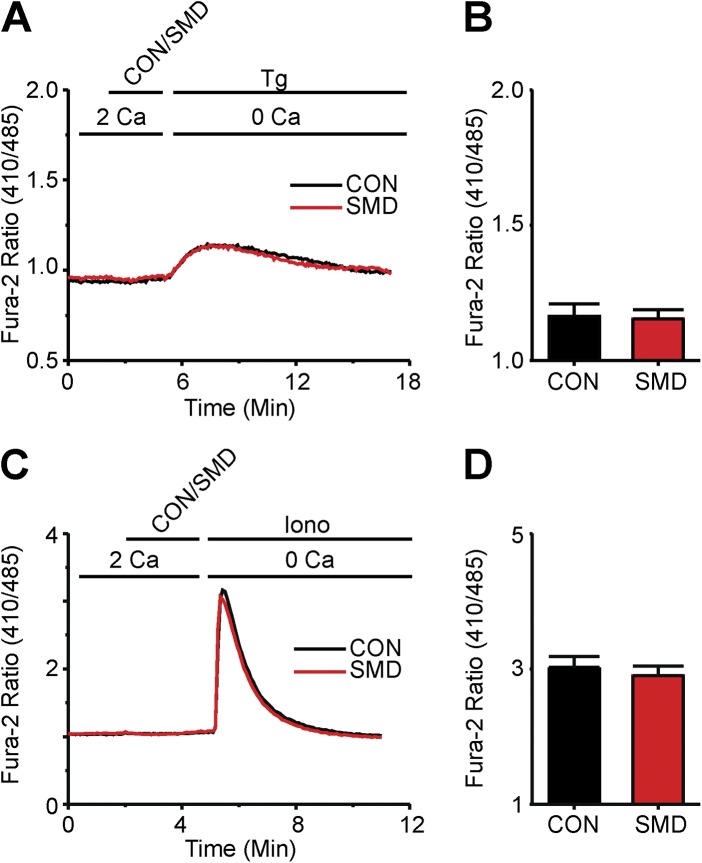 Figure 2.