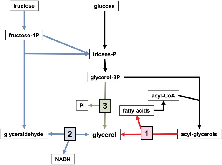 Fig 6