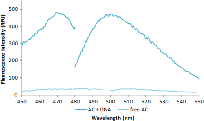 Fig. 2.13