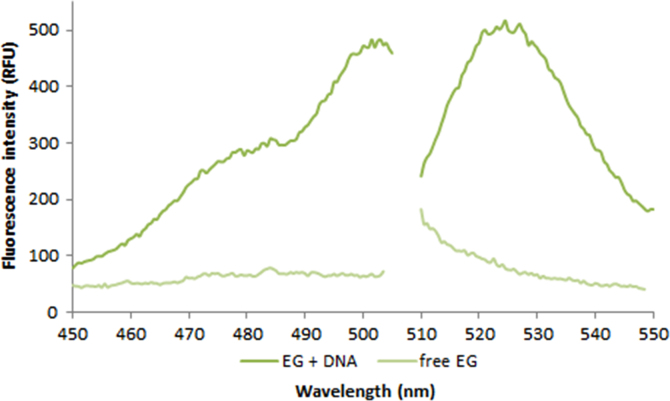 Fig. 2.10