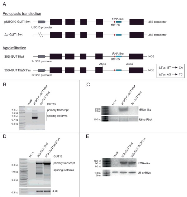 Figure 3.