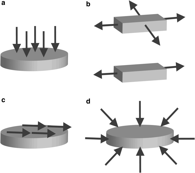 FIG. 2.