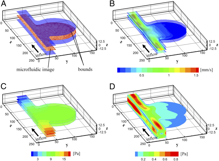 Fig. 7.