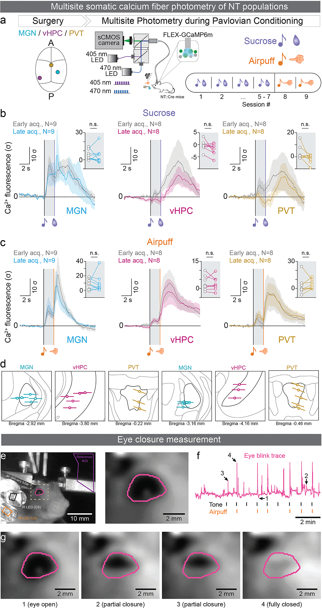 Extended Data Figure 6: