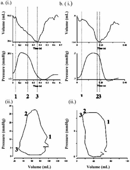 Fig. (3)