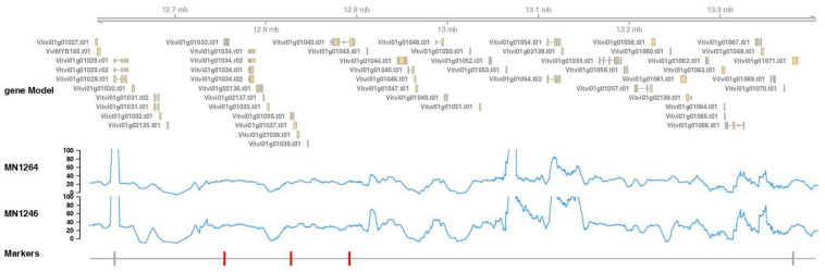 FIGURE 6