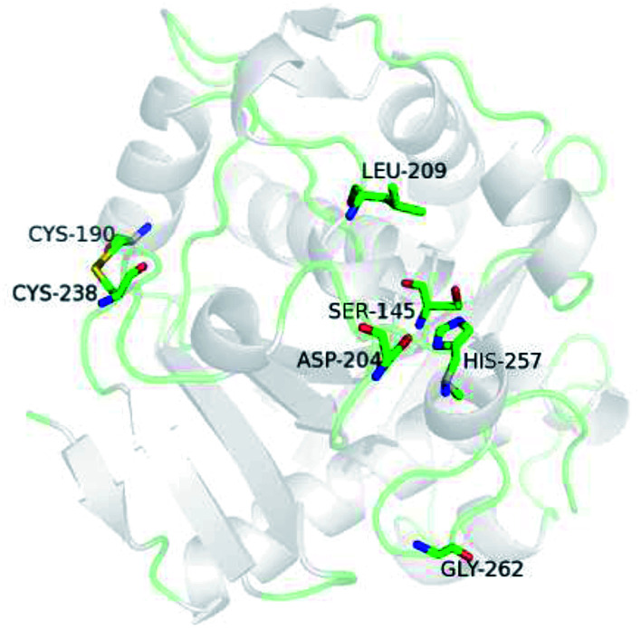 Fig. 10