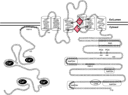 FIG. 2.