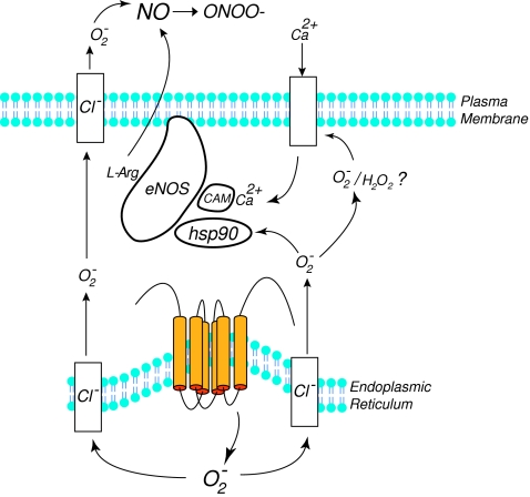 FIG. 3.