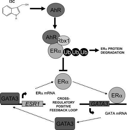 Figure 11.