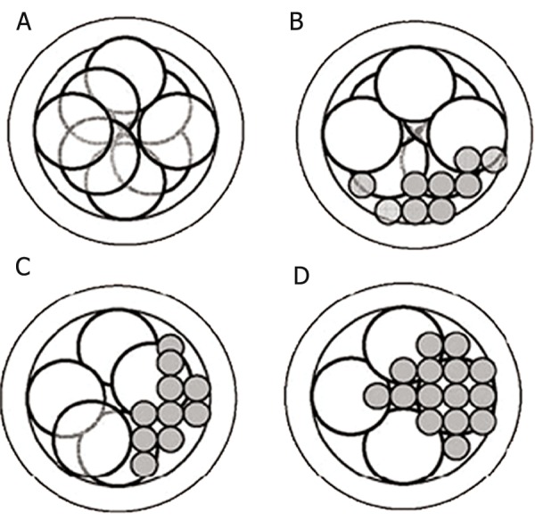 Fig 7