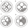Fig 7