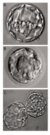 Fig 8