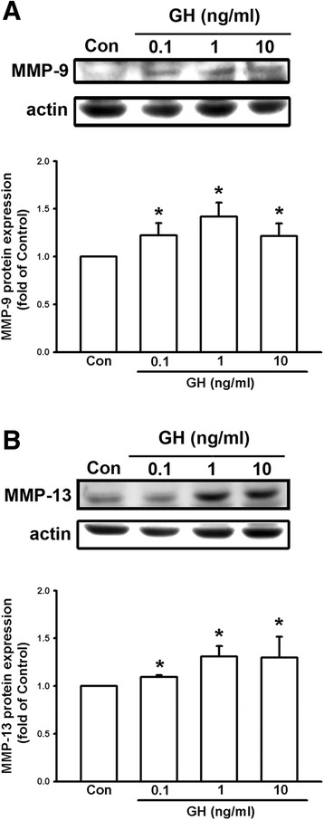 Fig. 5