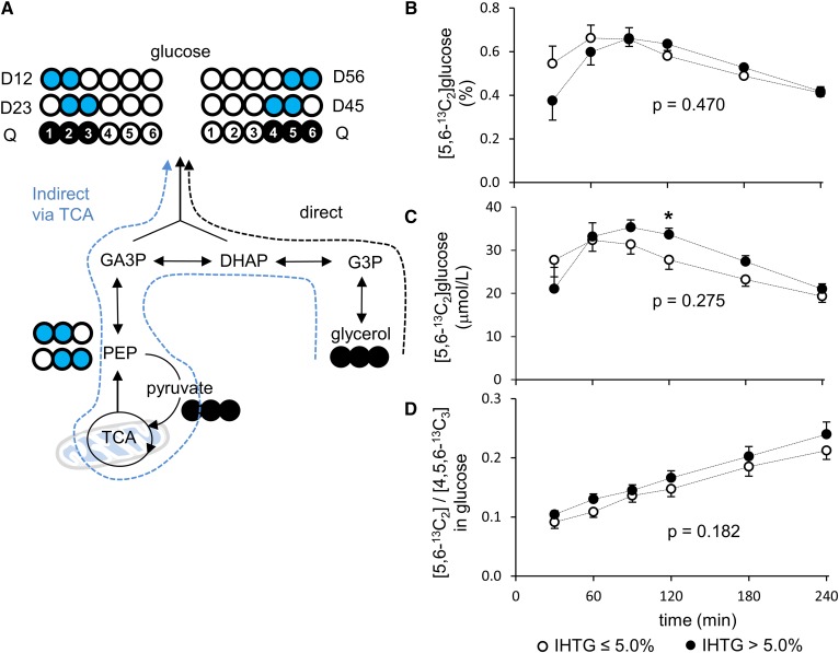 Fig. 4.