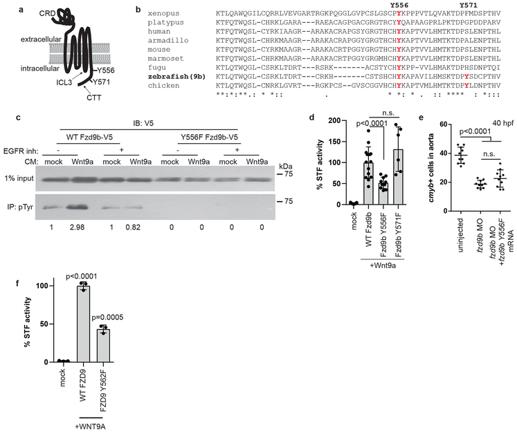 Figure 5: