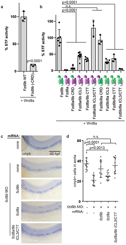 Figure 3: