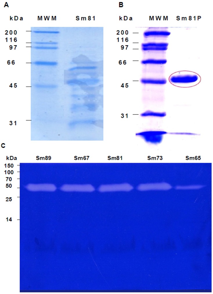 Figure 6