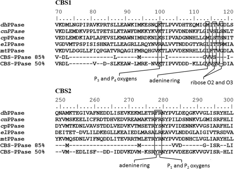 FIGURE 7.