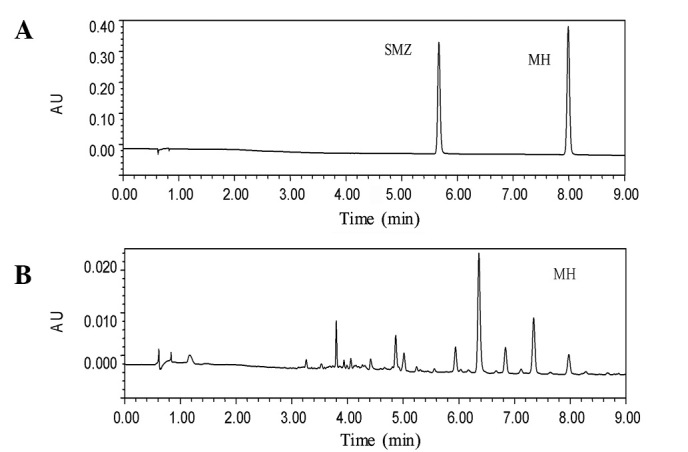 Figure 2.