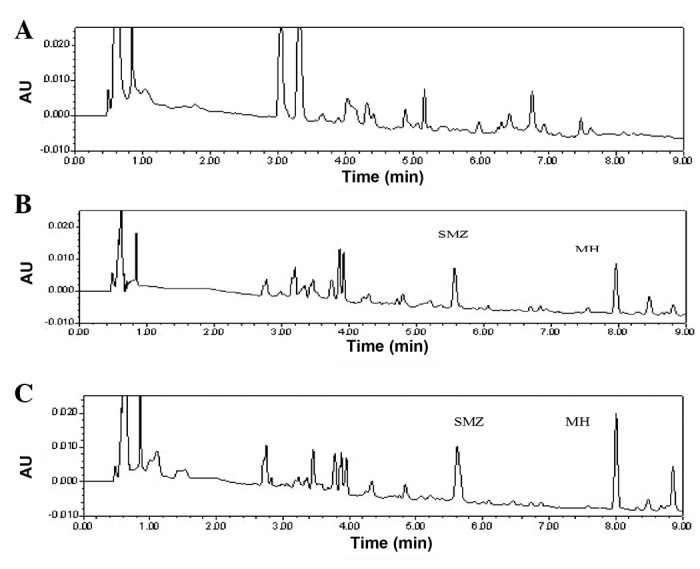 Figure 3.