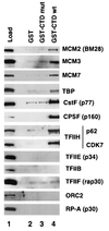 FIG. 8