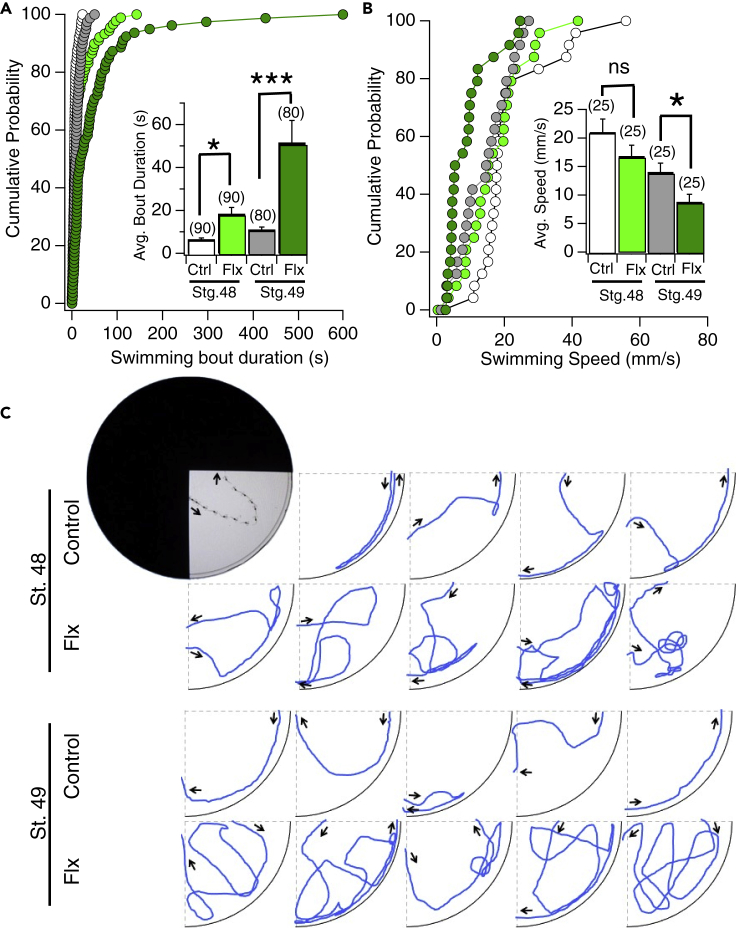 Figure 3