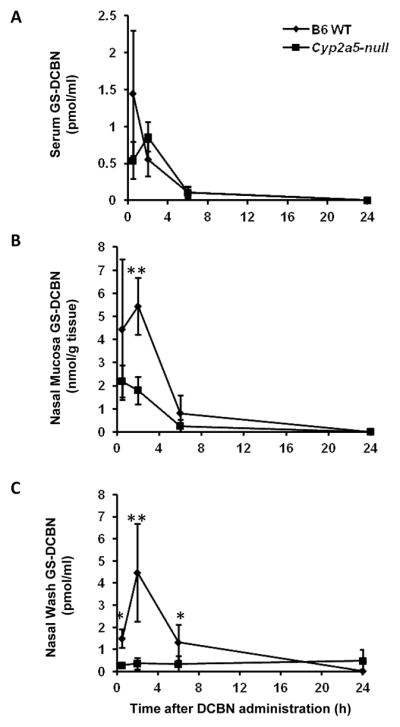 Fig 5