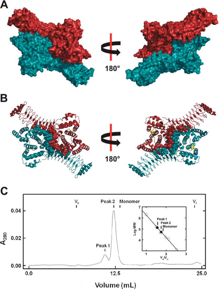 FIGURE 6.