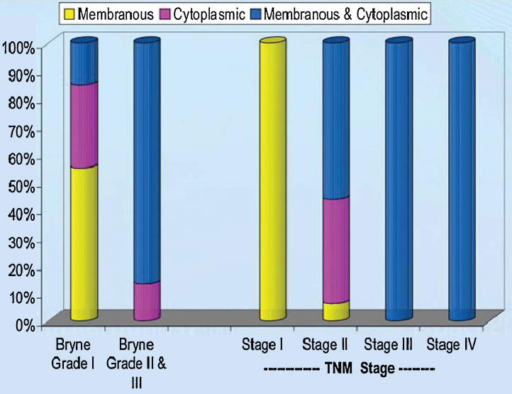 Bar diagram 2