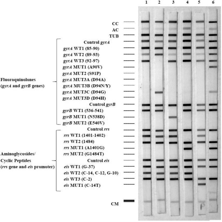 FIG 1