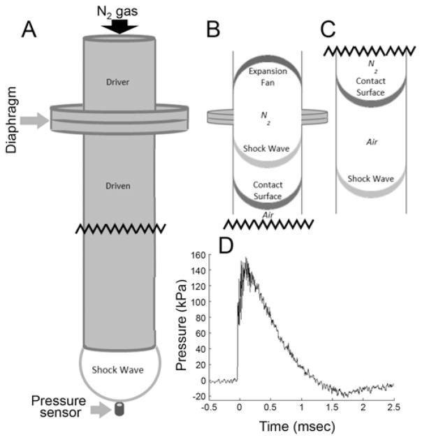 FIG. 1