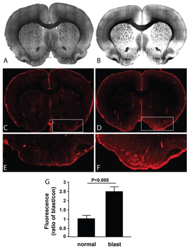 FIG. 5