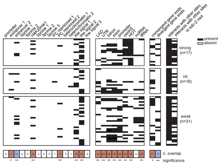 Figure 5—figure supplement 2.