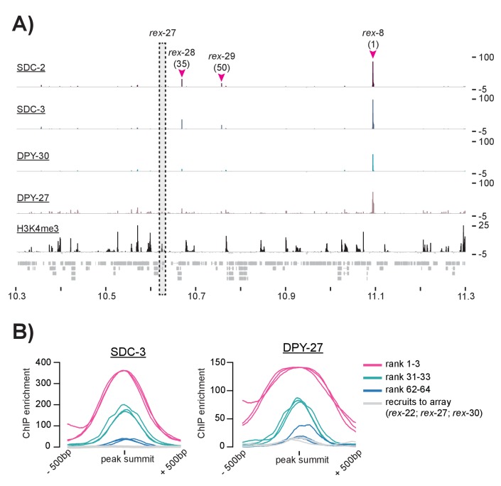 Figure 1—figure supplement 1.