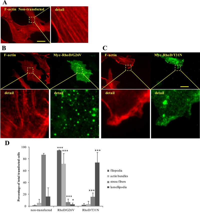 FIGURE 1: