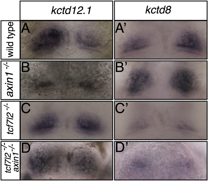 Figure 6