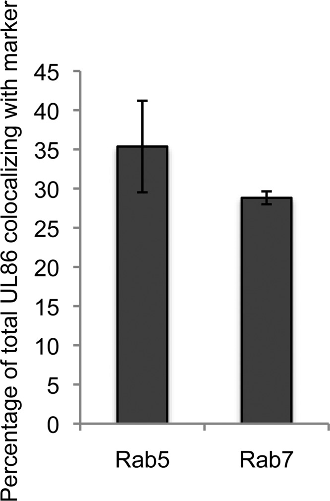 FIG 12