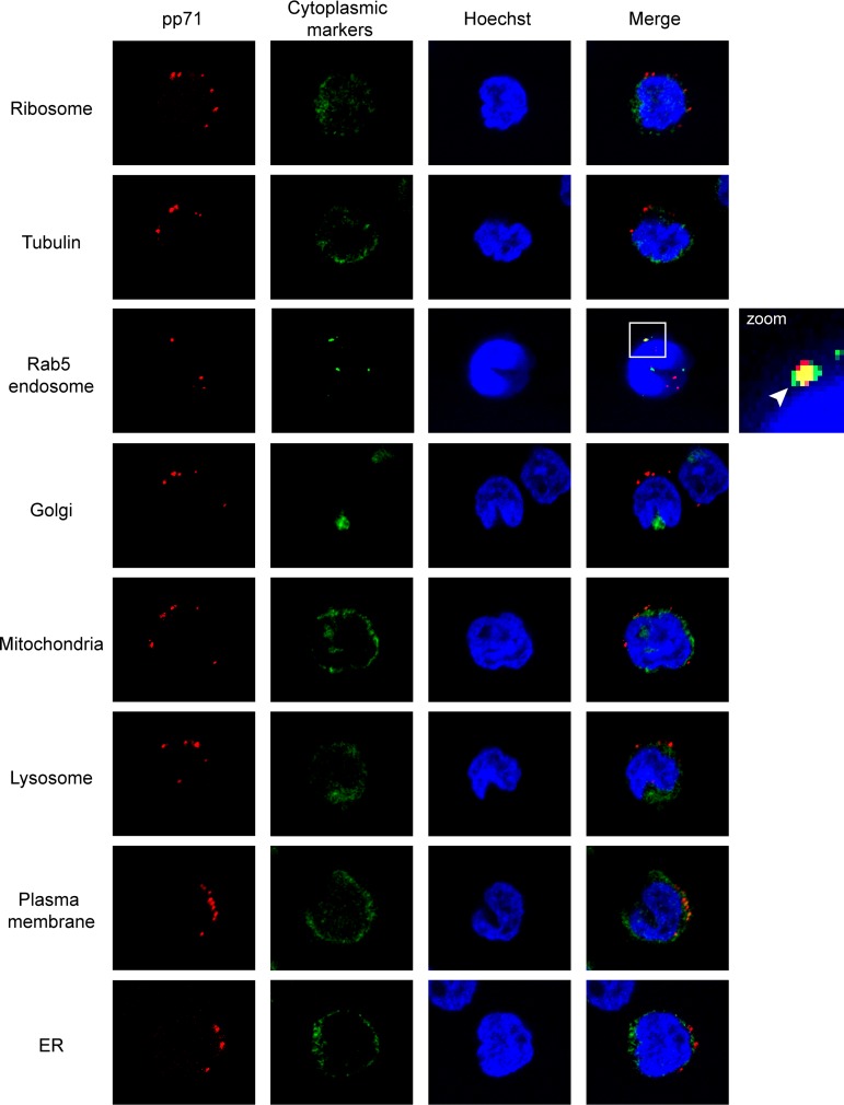 FIG 3