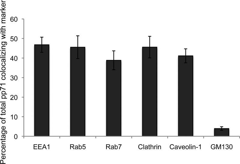 FIG 6