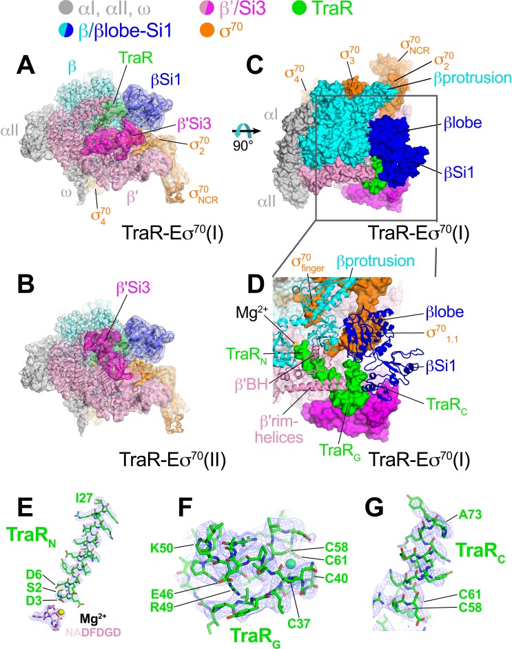 Figure 1.