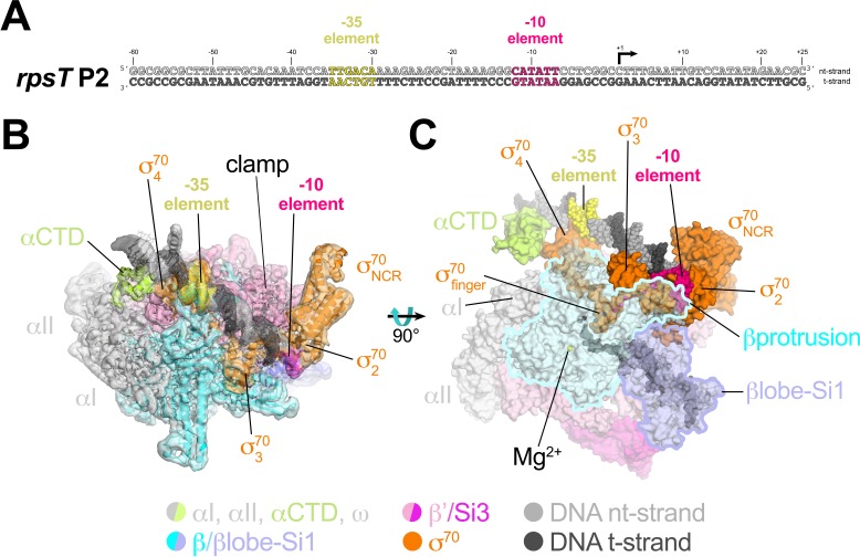 Figure 2.