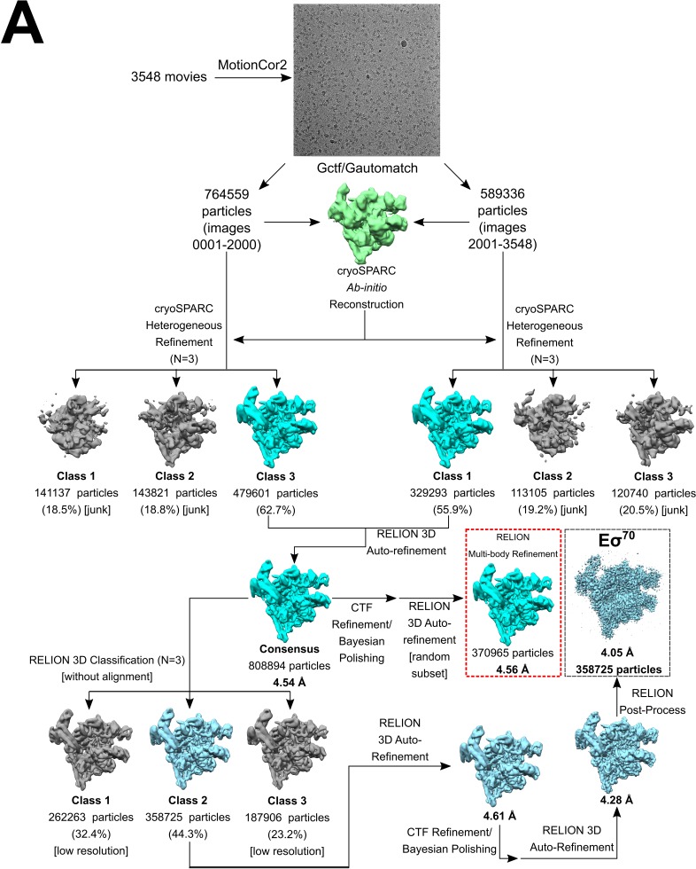 Figure 1—figure supplement 3.