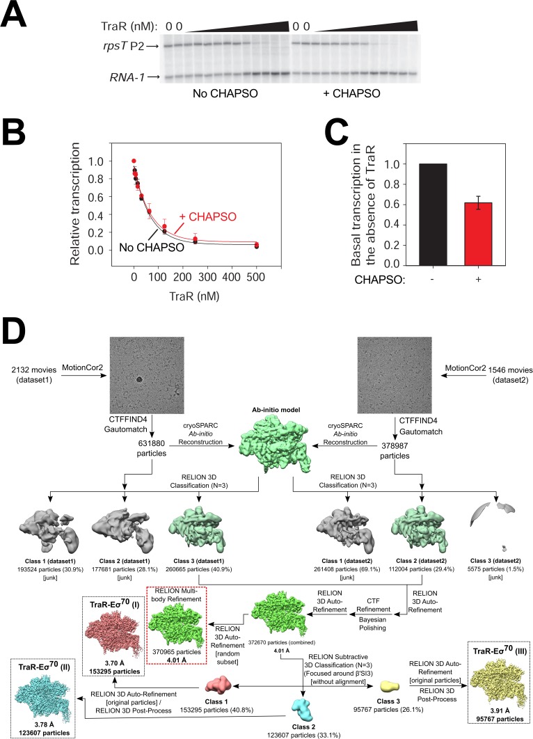 Figure 1—figure supplement 1.