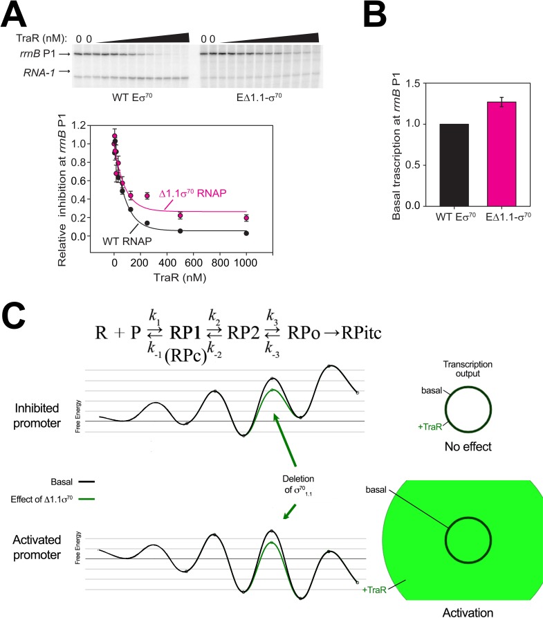 Figure 4—figure supplement 1.