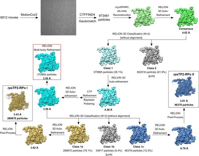 Figure 2—figure supplement 1.