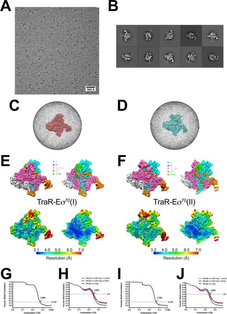 Figure 1—figure supplement 2.