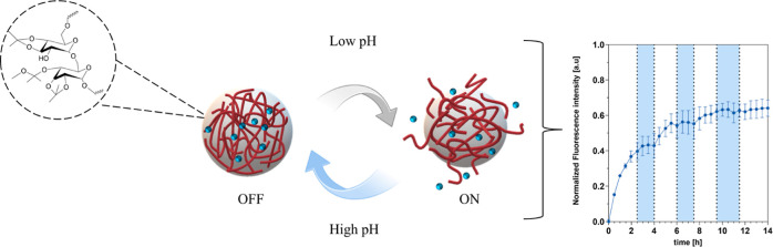 graphic file with name mt4c00182_0007.jpg